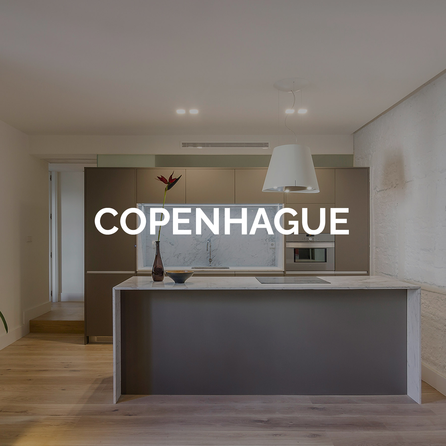 Cocina con península y campana de diseño - Cocina Copenhague de Coeco