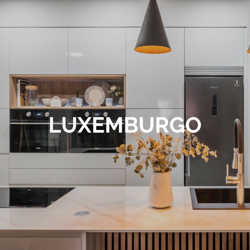 Cocina con isla y open design